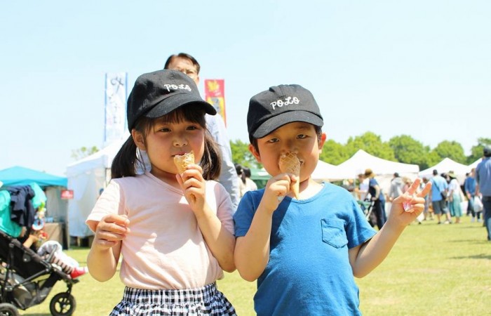 31437268_251036805467211_3048312832053579576_n